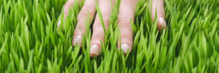 Running hand in grass